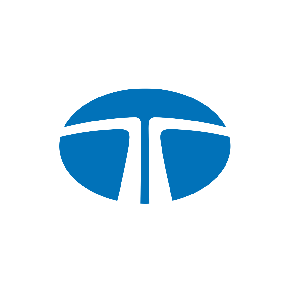 Tata Group Data Visualization
